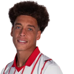 Axel Witsel