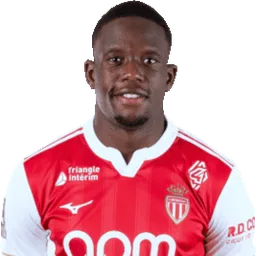 Denis Zakaria