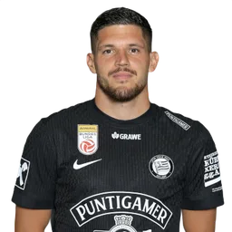 Emir Karic