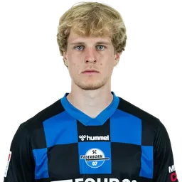 Mattes Hansen