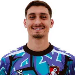 Đorđe Petrović